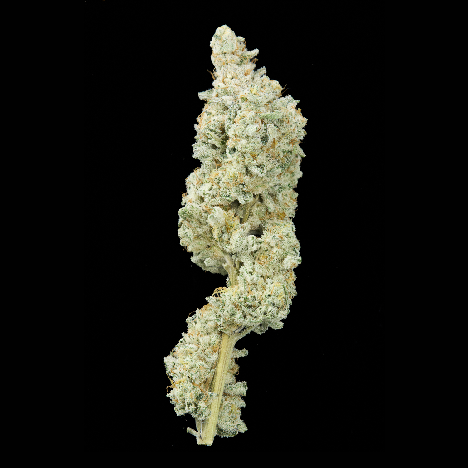 Alfa Cereal Milk flor seca